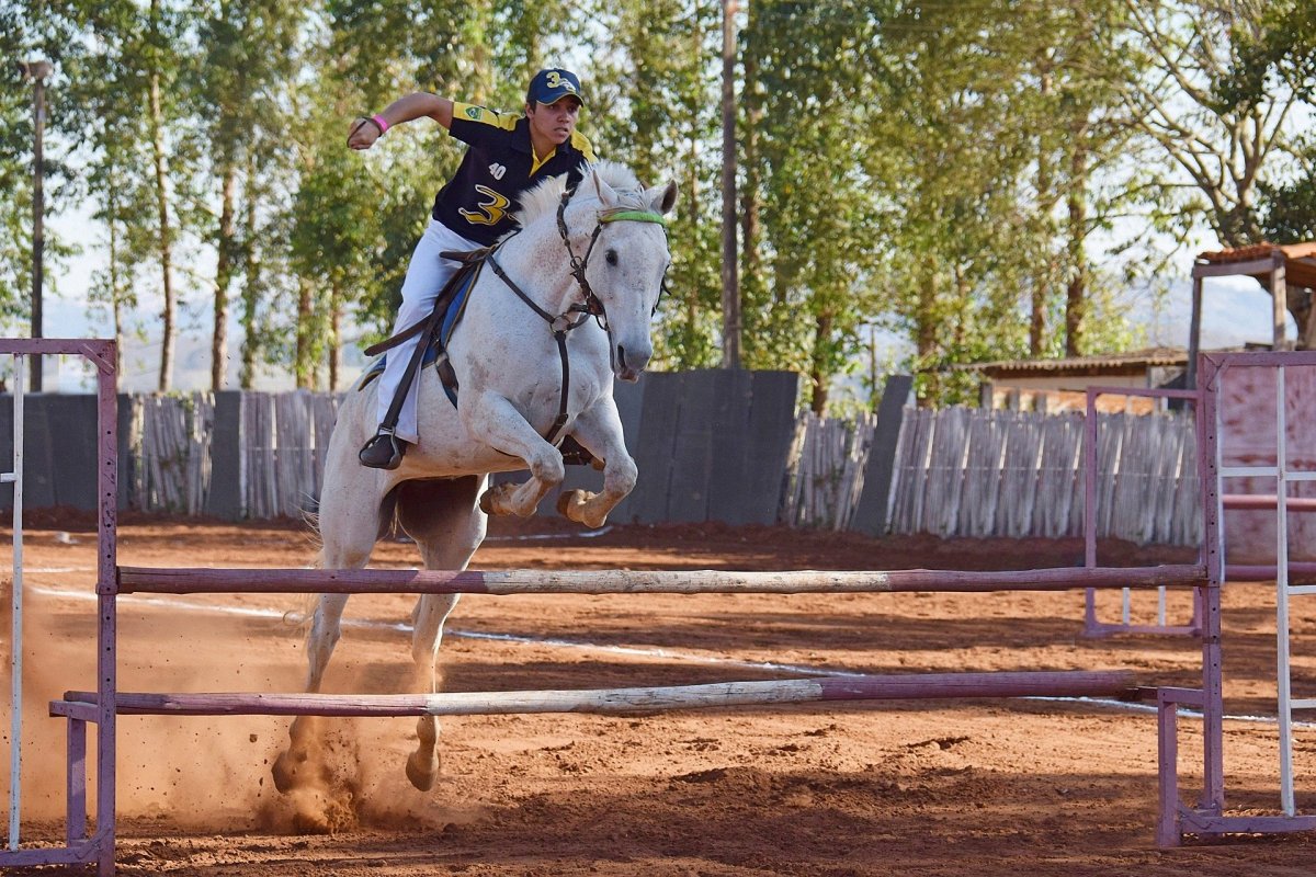 L&rsquo;équitation perd ses femmes dans le haut&nbsp;niveau